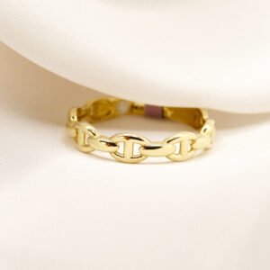 Anillo encadenado